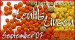 Garten-Blog-Event September ‘07: Linsen - Lentils