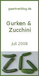 Gärtner-Blogevent Gurken + Zucchini