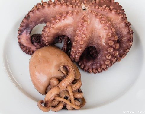 Gegarter Oktopus und Kalmare